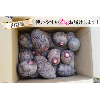 ふるさと納税 日向市 【期間限定】里芋(赤芽) 約2kg |  | 02