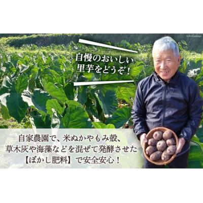 ふるさと納税 日向市 【期間限定】里芋(赤芽) 約2kg |  | 03