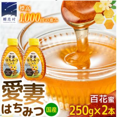 ふるさと納税 嬬恋村 愛妻はちみつ ( 百花 ) 250g×2個 セット