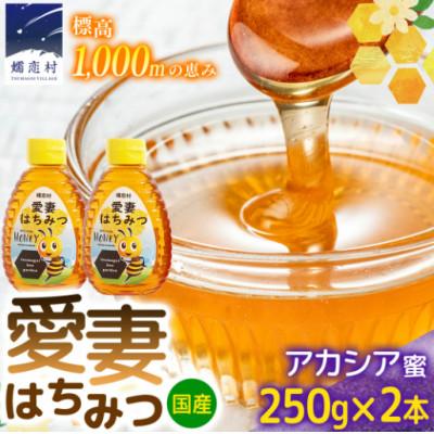 ふるさと納税 嬬恋村 嬬恋村 愛妻はちみつ ( アカシア ) 250g×2個セット