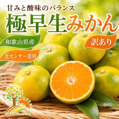 ふるさと納税 紀美野町 [訳あり]こだわり極早生みかん 約7.5kg (nuk003-c-7d5)