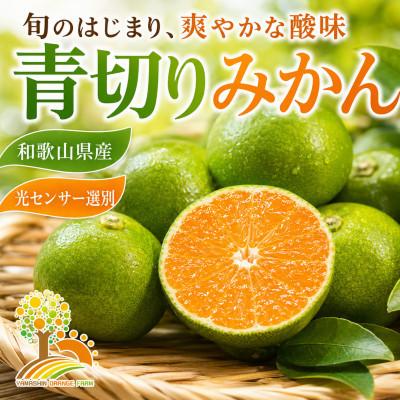 ふるさと納税 紀美野町 こだわりの青切りみかん 農園直送 約5kg (nuk001-r-5A)