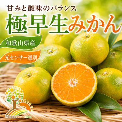 ふるさと納税 紀美野町 こだわりの極早生みかん 約2kg (nuk003-r-2A)