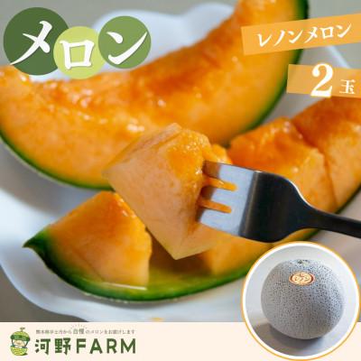 ふるさと納税 宇土市 [数量限定]熊本県宇土市産 レノンメロン 2玉