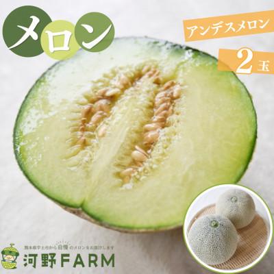 ふるさと納税 宇土市 [数量限定]熊本県宇土市産 アンデスメロン 2玉