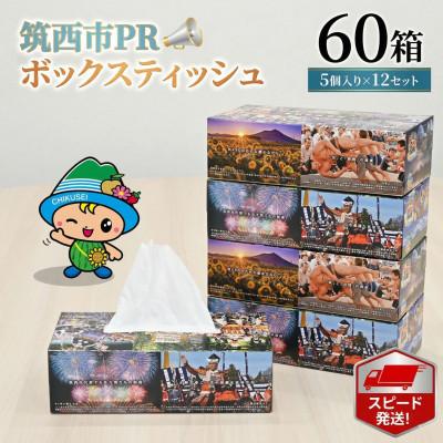 ふるさと納税 筑西市 ボックスティッシュ60箱 5個×12セット ckm001[入金確認後、最短5営業日で発送予定]