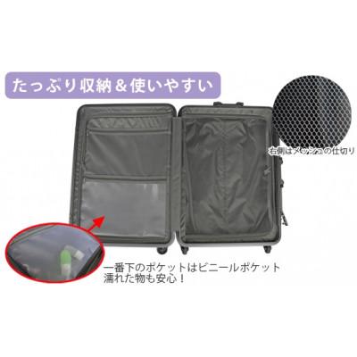 ふるさと納税 厚木市 PRIMAXII ハードキャリー　スーツケース　中型 5.0kg【カラー】ブラック |  | 03
