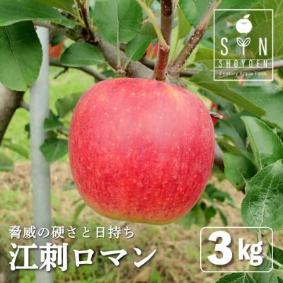 ふるさと納税 遠野市 りんご 早生 江刺ロマン 3kg 松陽園 樹上完熟 農家直送 岩手県 遠野市 先行予約