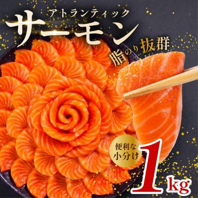 ふるさと納税 松原市 アトランティックサーモン 約1kg 鮭 さけの刺身(生食用) 小分けブロック 冷凍 大阪松原