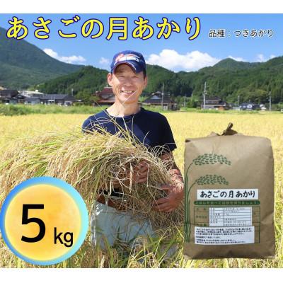 ふるさと納税 朝来市 令和8年産 「あさごの月あかり」5kg 白米 木村さんのお米 つきあかり