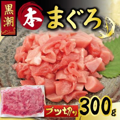 ふるさと納税 宿毛市 本まぐろ 切り落とし 約300g