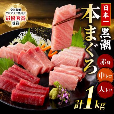 ふるさと納税 宿毛市 本マグロ3種セット (大トロ・中トロ・赤身) 約1kg