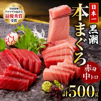 ふるさと納税 宿毛市 本マグロ 中トロ 赤身 2種 セット 約500g
