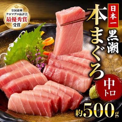 ふるさと納税 宿毛市 本マグロ 中トロ 約500g