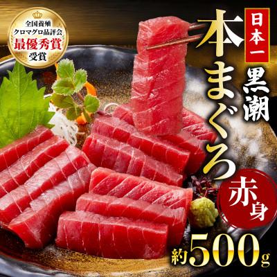 ふるさと納税 宿毛市 本マグロ 赤身 約500g