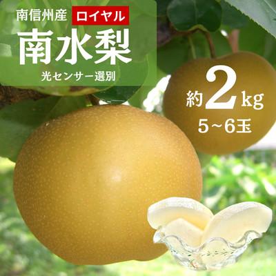 ふるさと納税 飯田市 [9月上旬から発送予定]南信州生まれのジューシーで甘い梨[南水梨]ロイヤル 約2kg 5〜6玉