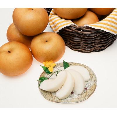 ふるさと納税 飯田市 【9月上旬から発送予定】南信州生まれのジューシーで甘い梨【南水梨】ロイヤル　約2kg　5〜6玉 |  | 02