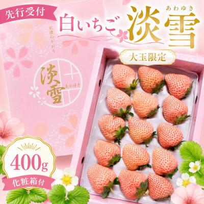 ふるさと納税 玉名市 [先行受付] 白いちご「淡雪」(大玉限定400g)[化粧箱付]