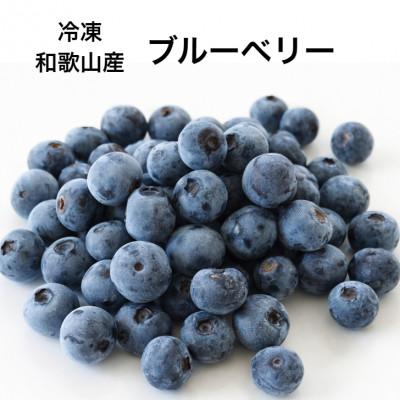 ふるさと納税 印南町 冷凍ブルーベリー 500g 和歌山産 新鮮そのまま冷凍に