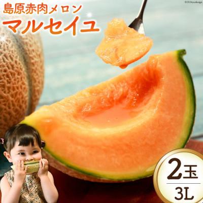 ふるさと納税 島原市 [先行受付][令和9年度出荷分]島原赤肉メロン「マルセイユ」(3L×2玉)