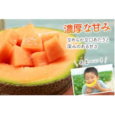 ふるさと納税 島原市 【先行受付】【令和9年度出荷分】島原赤肉メロン「マルセイユ」(3L×2玉) |  | 02