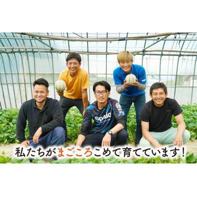 ふるさと納税 島原市 【先行受付】【令和9年度出荷分】島原赤肉メロン「マルセイユ」(3L×2玉) |  | 03