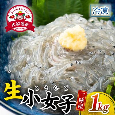 ふるさと納税 大船渡市 生 小女子(こうなご) 三陸産 数量限定 1kg[kouyou015]
