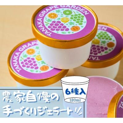 ふるさと納税 河内長野市 フルーツのジェラート6種セット 各120ml 6個 農家自慢の手づくりアイス詰め合わせ