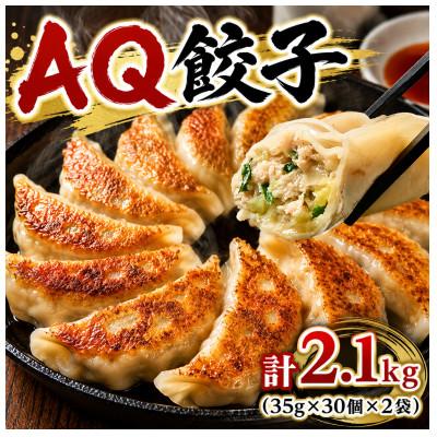 ふるさと納税 日光市 宇都宮AQ餃子 30個×2袋