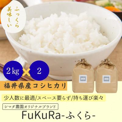 ふるさと納税 小浜市 農家直送 福井県産こしひかり FukuRa(ふくら) 精米 2kg×2袋 [計4kg] 美味しいお米