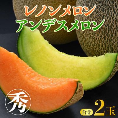 ふるさと納税 あわら市 佐藤農園の赤肉と青肉食べ比べ計2玉(レノンメロン・アンデスメロン)