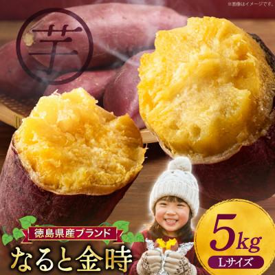 ふるさと納税 北島町 さつまいも 大人気! なると金時 5kg