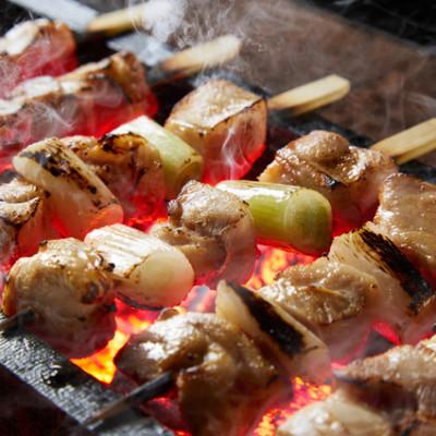 ふるさと納税 京丹後市 絶品!希少品種!京丹後産 京地どり 焼き鳥5種盛り合わせ 20本