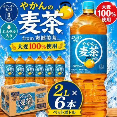 ふるさと納税 東海市 日本コカ・コーラ やかんの麦茶 from 爽健美茶 2L×6本 ペットボトル ケース | 