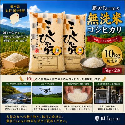 ふるさと納税 大田原市 [令和8年産 新米 先行受付]大田原市産コシヒカリ 無洗米 10kg(5kg×2)[藤田farm]