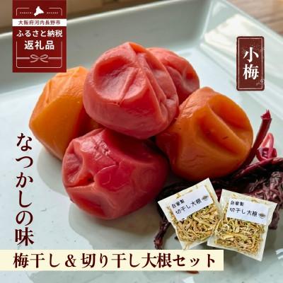 ふるさと納税 河内長野市 なつかしの味 梅干し(小梅)140g×6パック&amp;手作り切り干し大根 40g×3パック