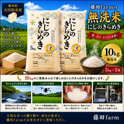 ふるさと納税 大田原市 [令和8年産 新米 先行受付]大田原市産にじのきらめき 無洗米 10kg(5kg×2) 藤田farm