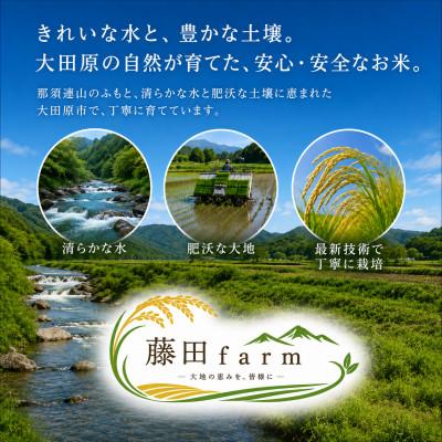 ふるさと納税 大田原市 【令和8年産 】大田原市産にじのきらめき 無洗米 10kg(5kg×2) 藤田farmのお米 |  | 01