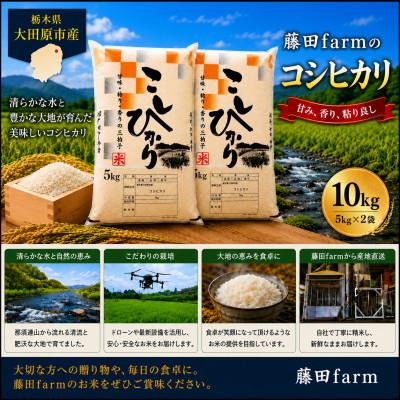 ふるさと納税 大田原市 [令和8年産 新米 先行受付]大田原市産コシヒカリ 精米 10kg(5kg×2)[藤田farm]