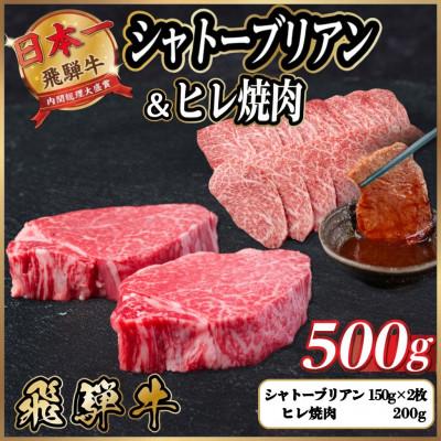ふるさと納税 羽島市 飛騨牛 シャトーブリアン&amp;ヒレ焼肉 計約500g[冷蔵便] A4〜A5 黒毛和牛 希少部位