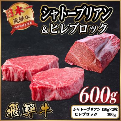 ふるさと納税 羽島市 飛騨牛 シャトーブリアン&amp;ヒレブロック 計約600g[冷蔵便]