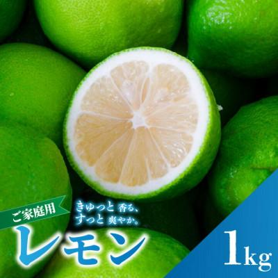ふるさと納税 松山市 2026年9月下旬より順次発送 グリーンレモン 約1kg 家庭用 訳あり 防腐剤、ワックス不使用