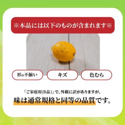 ふるさと納税 松山市 【順次発送中】 グリーンレモン 約1kg 家庭用 訳あり 防腐剤、ワックス不使用 |  | 02