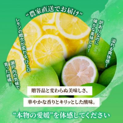 ふるさと納税 松山市 【先行予約】2027年2月上旬より発送 イエローレモン 約1kg 家庭用 防腐剤、ワックス不使用 |  | 01