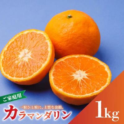 ふるさと納税 松山市 【先行予約】2027年4月中旬より発送 南津海・カラマンダリン約1kg 家庭用 訳あり | 