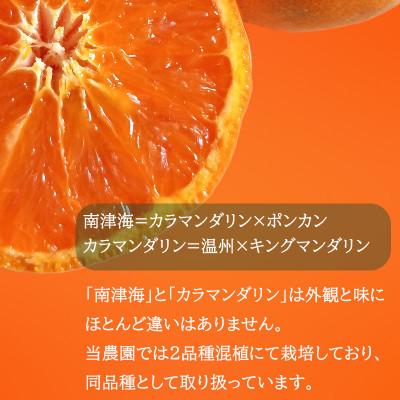 ふるさと納税 松山市 【先行予約】2027年4月中旬より発送 南津海・カラマンダリン約1kg 家庭用 訳あり |  | 01