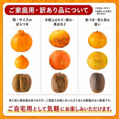 ふるさと納税 松山市 【先行予約】2027年4月中旬より発送 南津海・カラマンダリン約1kg 家庭用 訳あり |  | 02