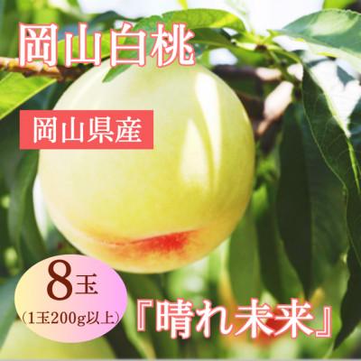 ふるさと納税 高梁市 [2027年発送]岡山県産 岡山白桃 『晴れ未来』(1玉200g以上)8玉 化粧箱入り