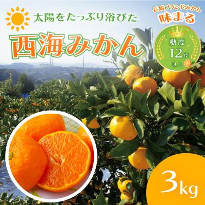 ふるさと納税 佐世保市 [早期受付]西海みかん「味まる」(3kg)