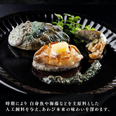 ふるさと納税 大船渡市 【2026年12月下旬発送】奇跡の再始動 訳あり翡翠あわび30g×6個[hisui011-12g] |  | 03